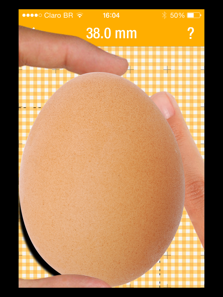 EggMaster 2